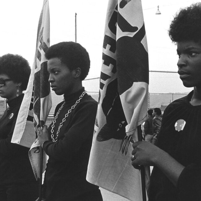 Woman with serious expressions wearing all black holding flags in a line