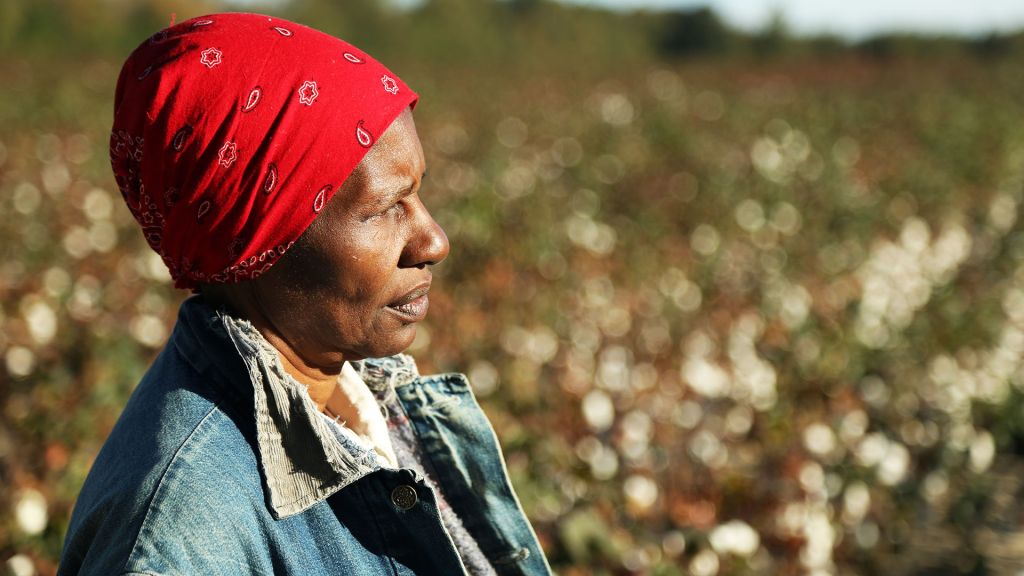 Wilhemina Dixon, star of Wilhemina's War, looks across a field, while wearing a red bandanna