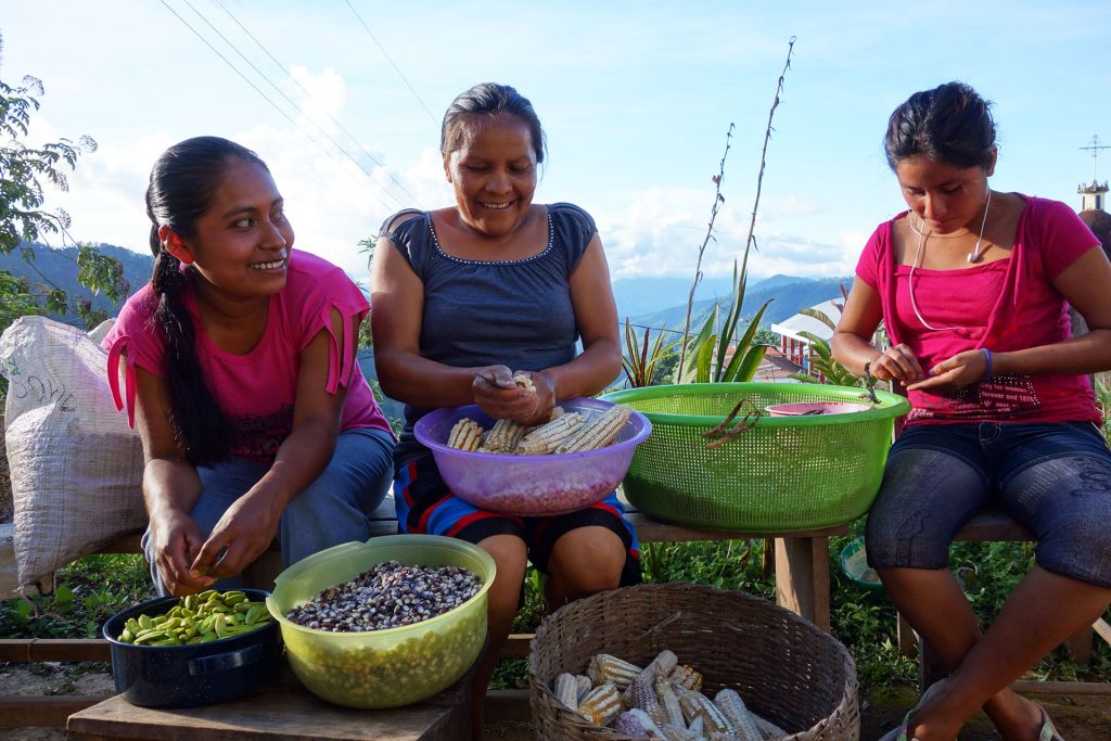 Women sort seeds from vegetables at a farm, fron SEED