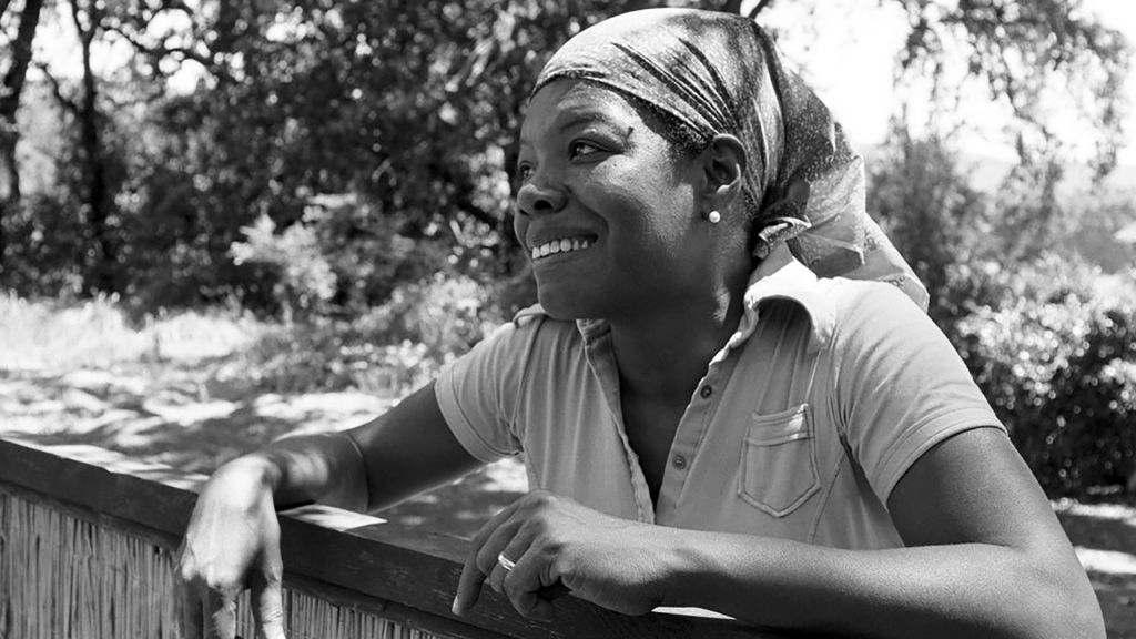 Maya Angelou headscarf at fence headscarf, credit: Wayne Miller/Magnum