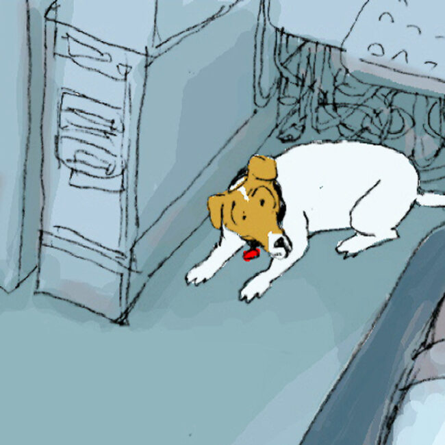 From Paul Fierlinger's Still Life with Animated Dogs, his dog Spinnaker