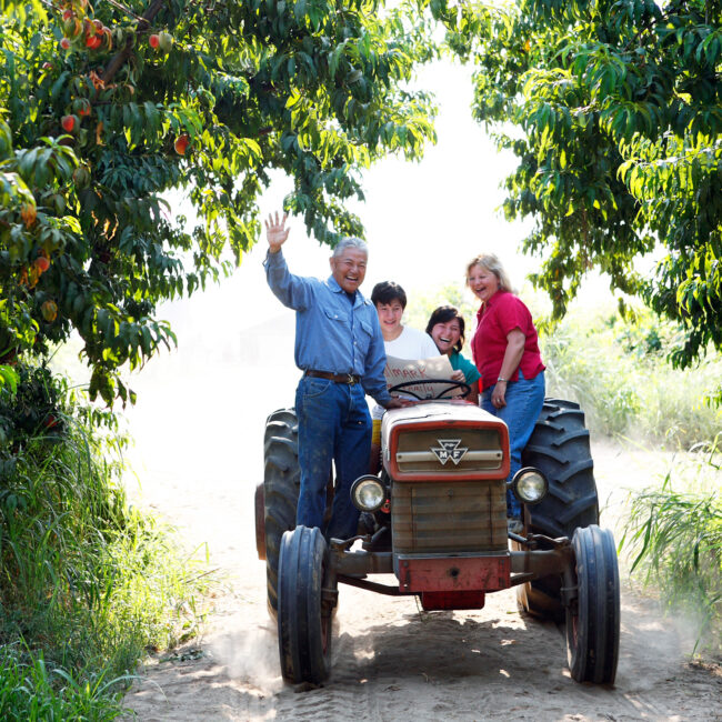 The Masumoto family farmers on a tractor in the Central Valley California peach farm