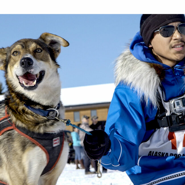 Joe Bifelt holding his lead dog, Happy, before the start of the 2015 Open North American sled dog race, from ATTLA