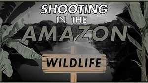 Filming with Wildlife poster image