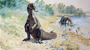 Dinosaurs by Charles R. Knight poster image