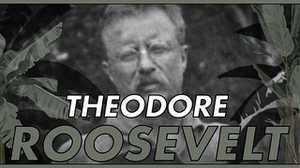 Theodore Roosevelt poster image