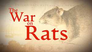 War on Rats poster image