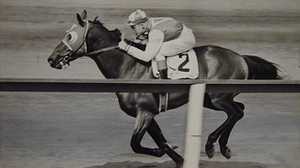 Horseracing in the U.S. poster image