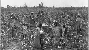 Sharecropping in Mississippi poster image