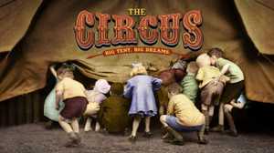 The Circus poster image