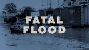 Fatal Flood poster image