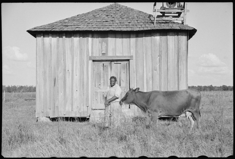 Sharecropper "Mother Lane" Pulaski County, Arkansas,1937, United States Resettlement Administration, photographer Ben by Shahn, Library of Congress Harvest-Sharecropping-2.jpg