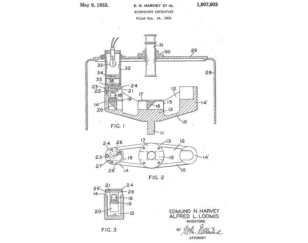 Tuxedo-Patent-6 centered.jpg