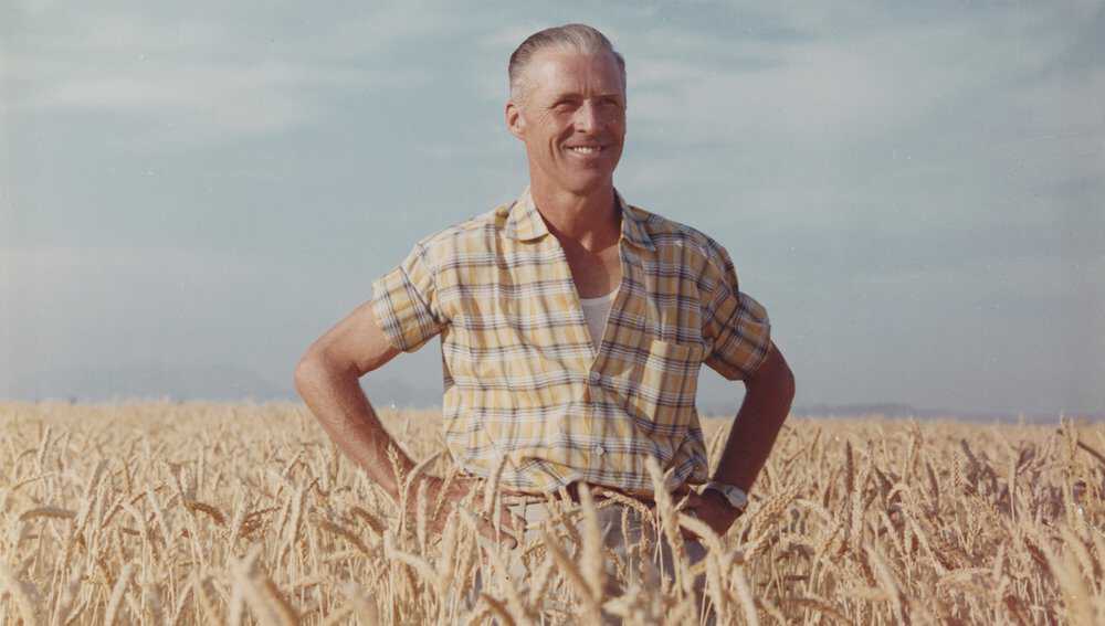 Borlaug smiling in wheat field. Image, 1960s. International Maize and Wheat Improvement Center (CIMMYT) Borlaug-Article-1.jpg