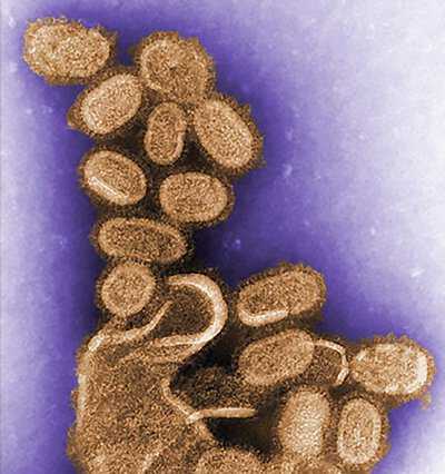 influenza_Investigation-Feature.jpg