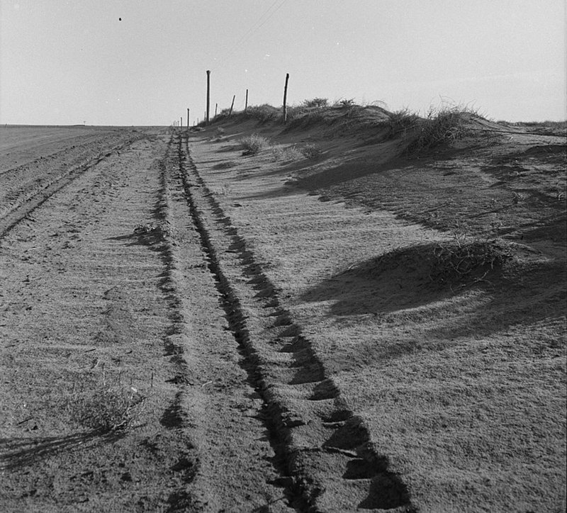 Dust-bowl-Drought-Sand-drift-along-fence.-Dust-Bowl--North-of-Dalhart---Texas-1938-LOC.jpg