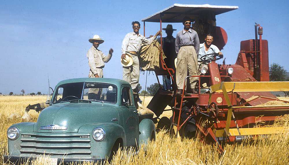 Norman Borlaug with Mexican field technicians who contributed to early seed production of improved wheat varieties, in the field near Ciudad Obregón, Sonora, northern Mexico, c. 1952. International Maize and Wheat Improvement Center. Borlaug-Article-2.jpg