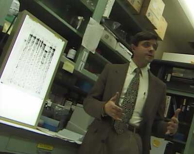 Influenza_taub_3.jpg