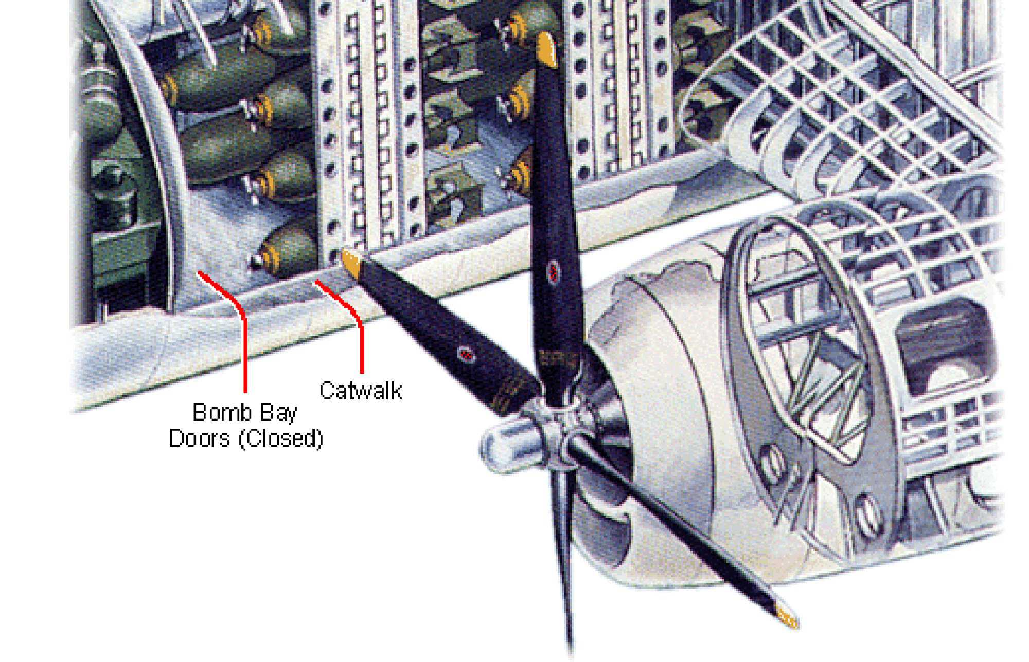 flygirls-B29-for_bomb_bottom.jpg