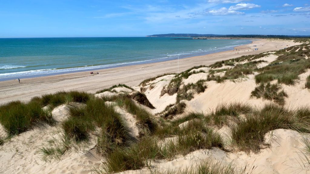 Camber Sands is East Sussex's only dune system and is known for its long, unspoiled stretch of dunes, and its (uncharacteristic for Sussex) wide sandy beach.