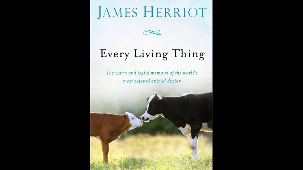 Every Little Thing book cover
