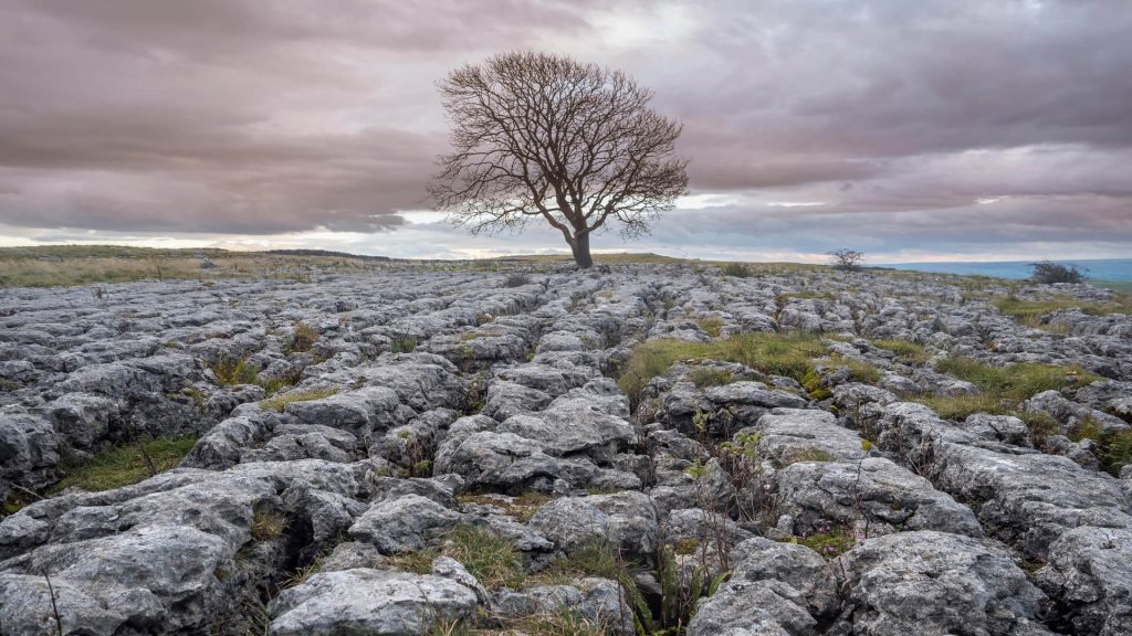 Malham Cove limestone formations, Yorkshire Dales, England