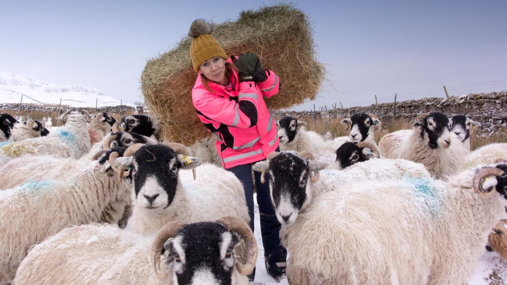 Shepherdess in Yorkshire Dales, England