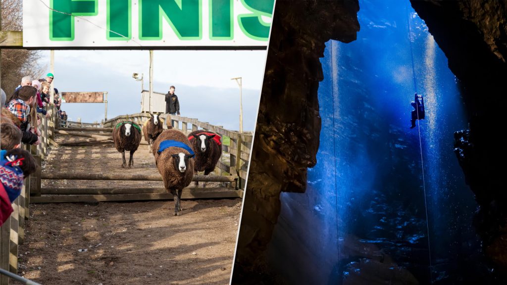 Photos from UK's Yorkshire Dales: sheep racing in Cawthorne and inside Gaping Gill cave.