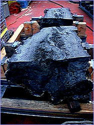 tHalf of the sulfide chimney Roane will go to the American Museum of Natural History.