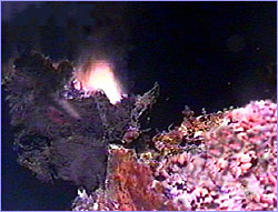 The hydrothermal vent known as 'Inferno.'