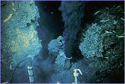 Black smoker photographed from a submersible