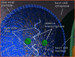 Labeled diagram of viral exit scene