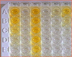 Test tube comparison