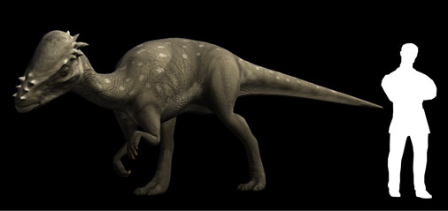 Pachycephalosaurus