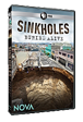 Sinkholes—Buried Alive