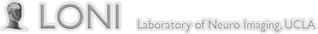 Laboratory of Neuro Imaging logo