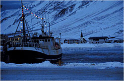 Scenic: boat in fjord