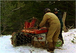 Wrapping boxes in nets