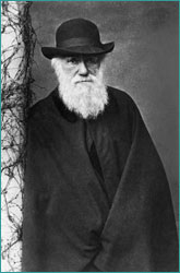 Darwin