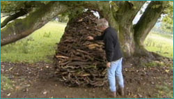 Goldsworthy with his art