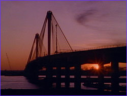 Cable-stayed bridge