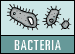 Bacteria