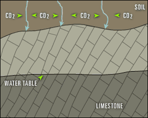 illustration: cross-sectional view of limestone formation; show water moved into ground and indication of CO2 entering water