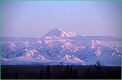 Denali at dawn