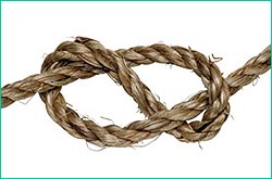 figure eight knot