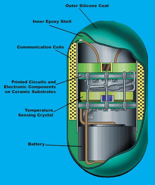 thermal radio pill cross section