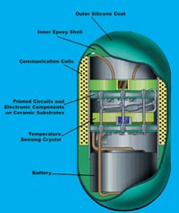 thermal radio pill cross section