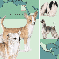 Dogs Around the World