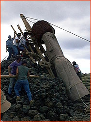 Photo of Rapa Nui men raising the Moai with levers