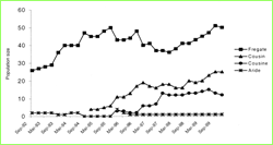 Robin chart 2